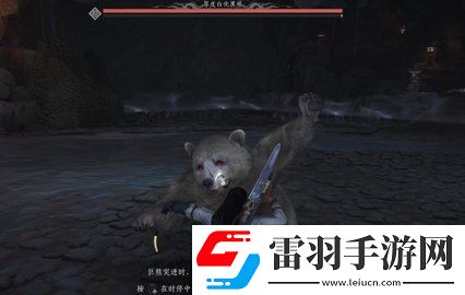 燕云十六聲厚皮白化黑熊怎么打