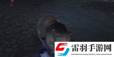 燕云十六聲厚皮白化黑熊怎么打