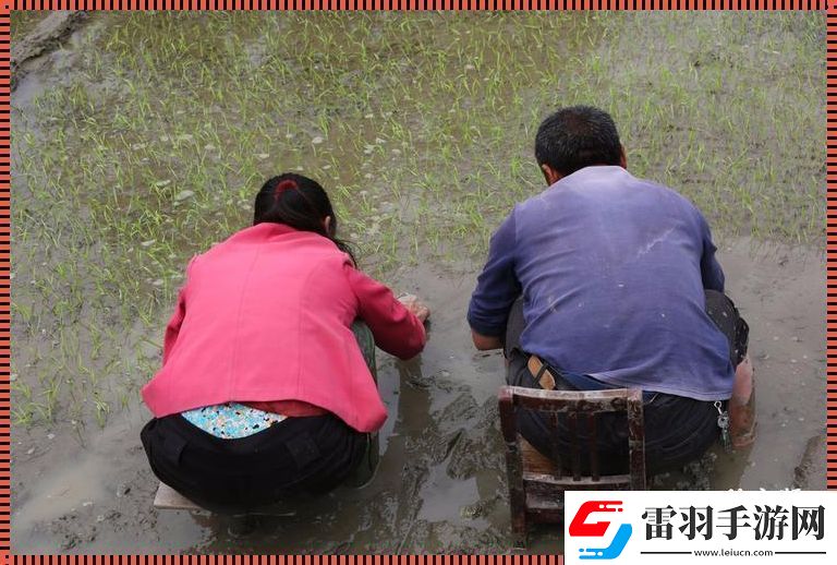 插秧情侶創(chuàng)新界的“泥腿子”傳奇