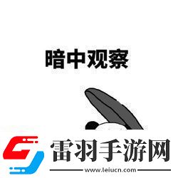 私生飯是什么意思
