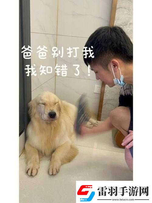 主人錯(cuò)了