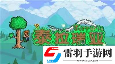 泰拉瑞亞豬龍彩罐怎么放置
