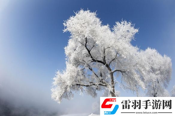 你會和誰一起去呢盤點(diǎn)國內(nèi)十大絕美冬日旅游城市