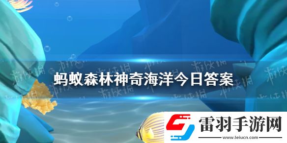 海洋中的獨居動物是章魚嗎神奇海洋11月8日答案最新