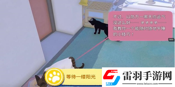 小貓咪大城市等待一縷陽光任務攻略
