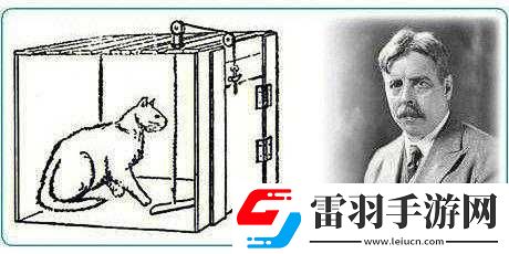 如何通過觀察貓貓它餓了達成通關(guān)