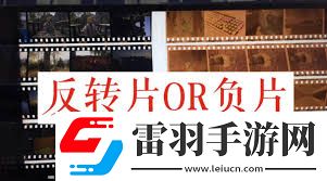 正片負(fù)片與反轉(zhuǎn)片的定義及區(qū)別