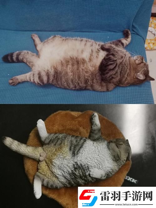 瘋狂科技潮！除了柚子貓和玩偶