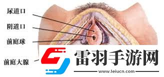 女生喊疼時(shí)