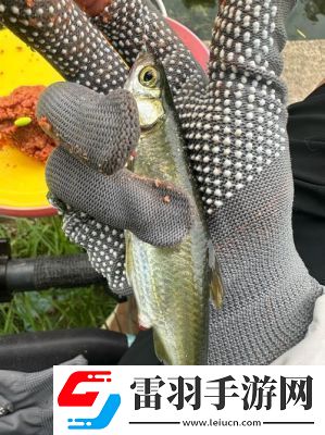 釣魚佬游戲中釣魚技巧大揭秘