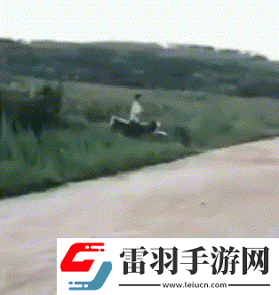 猴子來了都不知道先打哪一個(gè)動(dòng)圖教你怎么緩解尷尬