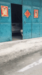 猴子來了都不知道先打哪一個(gè)動(dòng)圖教你怎么緩解尷尬