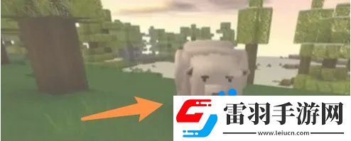 我的世界怎么馴服北極熊