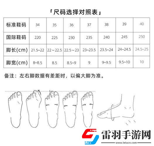 國產(chǎn)尺碼對陣歐派風華
