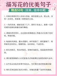 比春日繁花更絢爛的靈魂——探尋那些讓人驚艷的美好身影