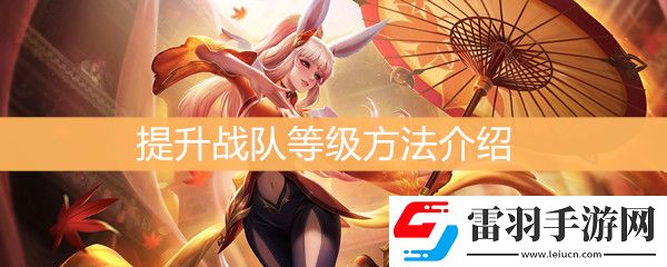 王者榮耀怎么提升戰(zhàn)隊等級