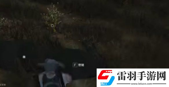 七日世界雪國人生動物在哪