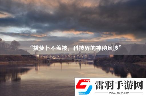“拔蘿卜不蓋被