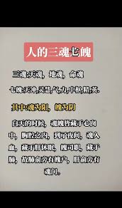 天七”究竟蘊含何意一探究竟