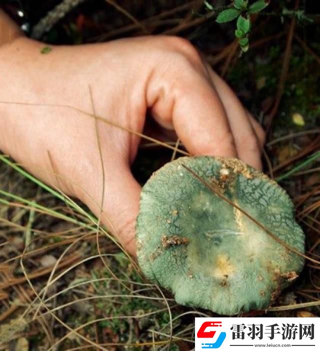 蘑菇mogula笑不活了科技圈新晉“紅”的這點(diǎn)事！