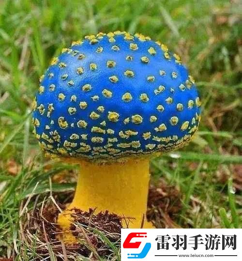蘑菇mogula笑不活了科技圈新晉“紅”的這點(diǎn)事！