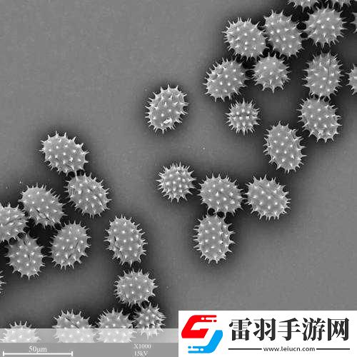 探索我的世界微觀世界最小生物排行大揭秘蠹蟲意外落榜