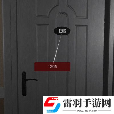 孫美琪疑案袁家賓館1205