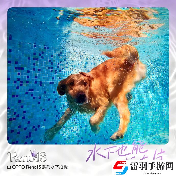 又美又強(qiáng)的OPPOReno13系列爆料匯總