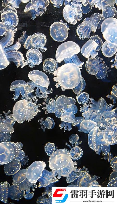 顏值出眾的壁紙高清2023要一直都有好看的壁紙可以換