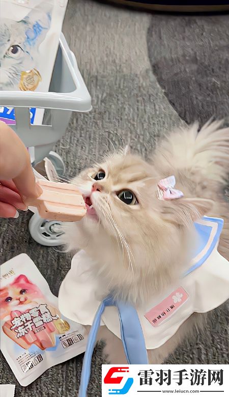 顏值出眾的壁紙高清2023要一直都有好看的壁紙可以換