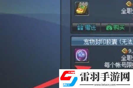 dnf手游寵物封印膠囊怎么用