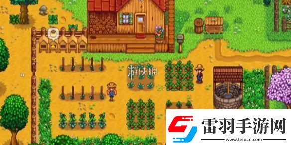 星露谷物語神秘的齊1任務(wù)怎么過