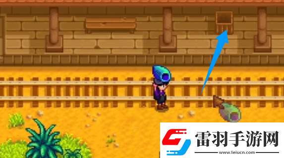 星露谷物語神秘的齊1任務(wù)怎么過