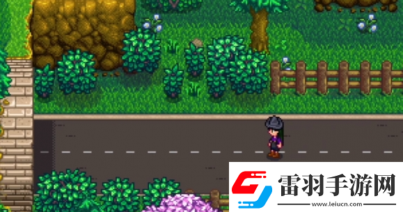 星露谷物語神秘的齊1任務(wù)怎么過