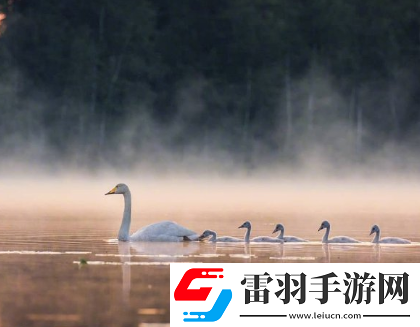 很有詩意的勵(lì)志空間說說認(rèn)準(zhǔn)的路就別問多遠(yuǎn)