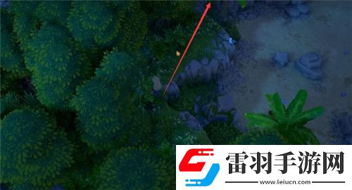 露瑪島溫?zé)岖I(xiàn)禮水晶都在什么位置露瑪島溫?zé)岖I(xiàn)禮水晶全位置盤(pán)點(diǎn)