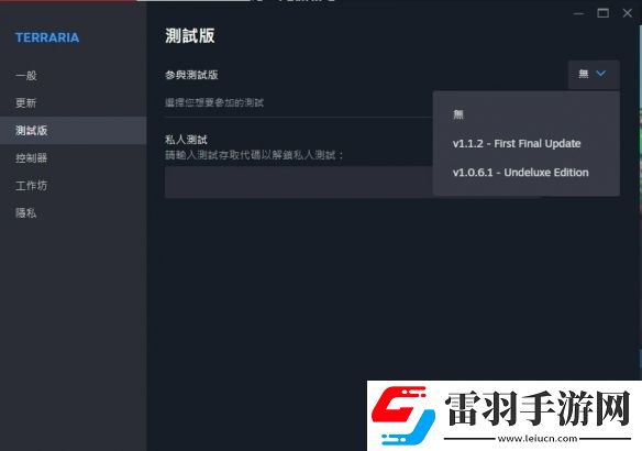 泰拉瑞亞迎來(lái)13周年開(kāi)發(fā)團(tuán)隊(duì)放出最終更新版本
