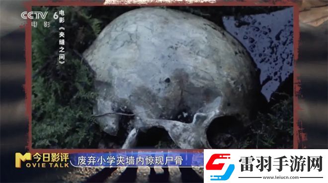夾縫之間解析