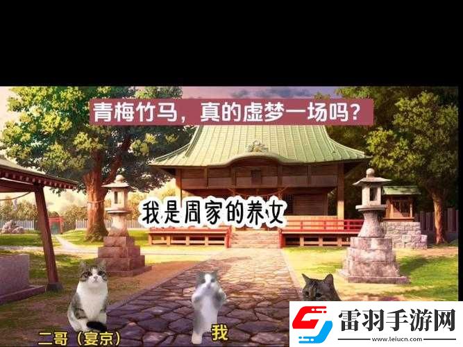云上情深