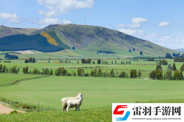 揭秘牧場用詞嫩草一二三的區(qū)別及其對草原生態(tài)和牲畜飼養(yǎng)的影響解析