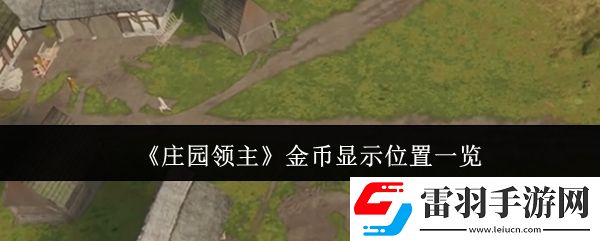 莊園領(lǐng)主金幣在哪顯示