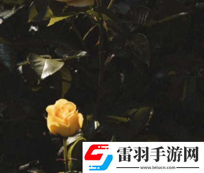 能夠讓你度過分手期的治愈文案分手后能夠治愈你的說說