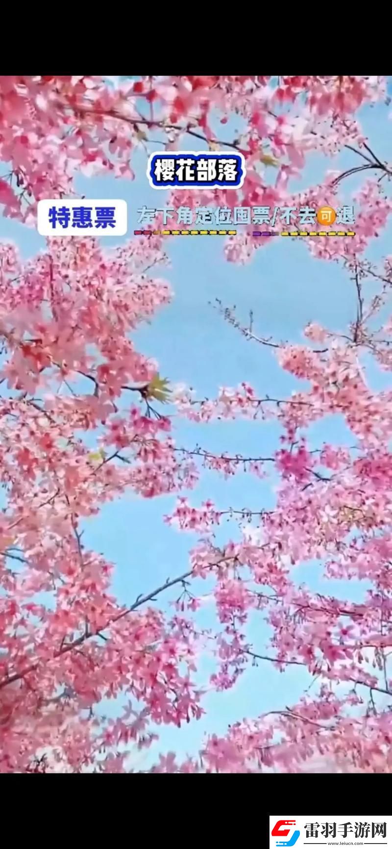 櫻花官方官入口頁