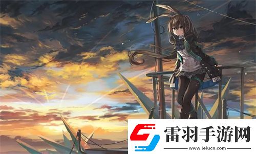 歐美區(qū)一碼二碼三碼區(qū)別