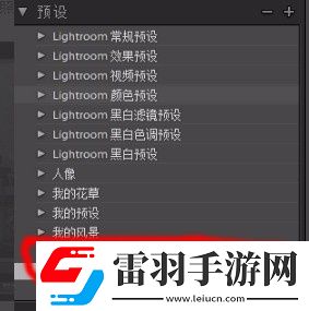 lr怎么設置預設