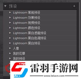lr怎么設置預設