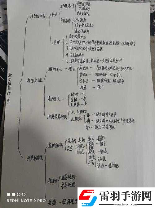 元?dú)馀枷窦臼謾C(jī)中燈泡的出現(xiàn)究竟意味著什么