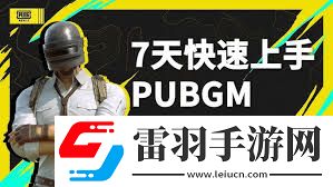 掌握這些絕招