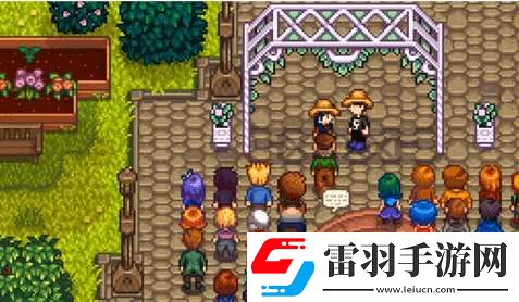 星露谷物語結(jié)婚戒指有什么作用