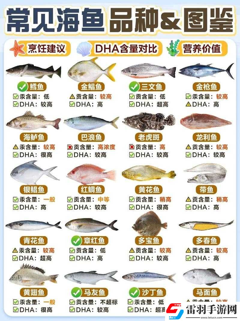爐石傳說(shuō)